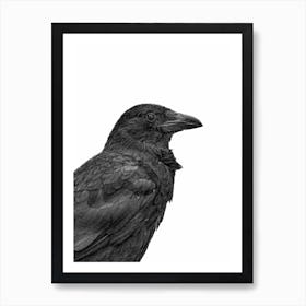 Black Crow Art Print