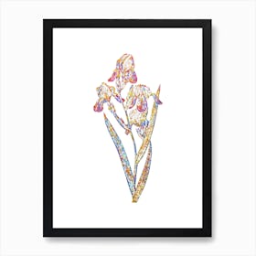 Stained Glass Elder Scented Iris Mosaic Botanical Illustration on White n.0146 Art Print