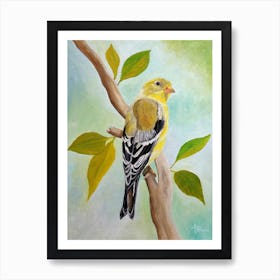 Pretty American Goldfinch Art Print