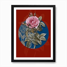 Vintage Botanical Pink French Rose on Circle Blue on Red n.0059 Art Print