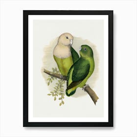 Parrots 1 Art Print