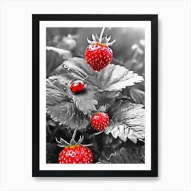 Ladybugs On Strawberries Art Print