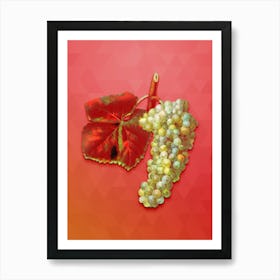 Vintage White Grape Botanical Art on Fiery Red n.1414 Art Print
