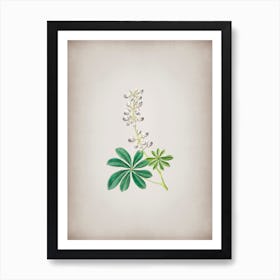 Vintage Half Shrubby Lupine Flower Botanical on Parchment n.0410 Art Print