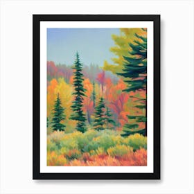 Concolor Fir Tree Watercolour 2 Art Print