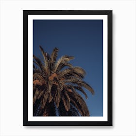 Palm Tree And Clear Blue Sky St Sebastian, Spain Art Print