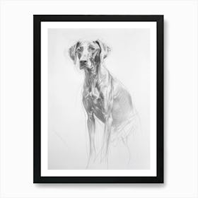 Vizsla Dog Charcoal Line 3 Art Print