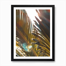 Palm Leaves In The Sun Art Print