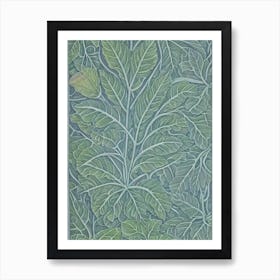 Bigleaf Maple 2 tree Vintage Botanical Art Print