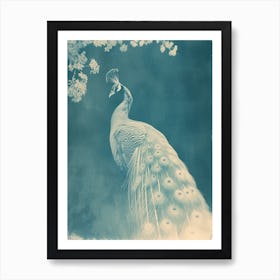 Vintage Peacock & Blossom Blue Art Print