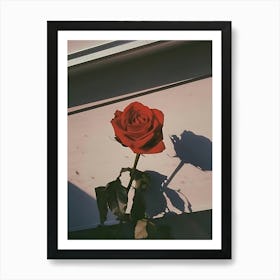Shadow Rose Art Print