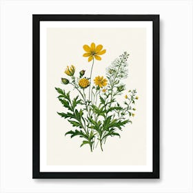 Vintage Botanical Galleria Style Wildflower Painting 20 Art Print