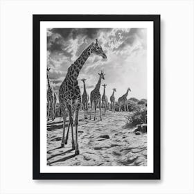 Herd Of Giraffes In The Sun Pencil Drawing 2 Art Print