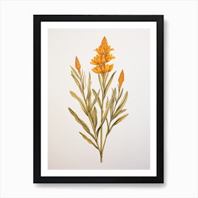 Turmeric Vintage Botanical Herbs 2 Art Print