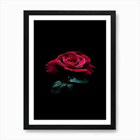 Red Rose On Black Background 29 Art Print