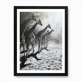 Pencil Portrait Herd Of Giraffes In The Wild  4 Art Print