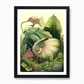 Garden Snail In Shaded Area 1 Botanical Art Print