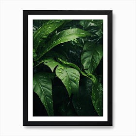 Green Leaves In The Rain Art Print