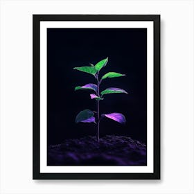 Green Plant On Dark Background Art Print