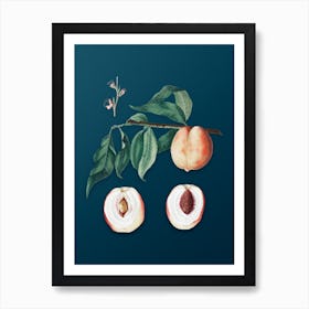 Vintage Peach Botanical Art on Teal Blue n.0002 Art Print