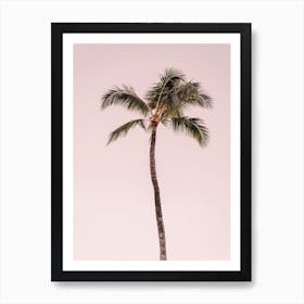 Pink Palm Tree Art Print