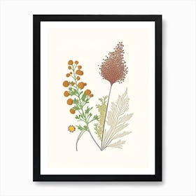 Coriander Seed Spices And Herbs Minimal Line Drawing 1 Art Print