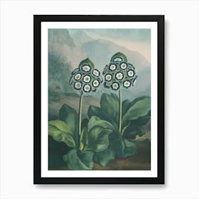 Two Flowers In A Garden Art Print