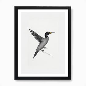 Cormorant B&W Pencil Drawing 1 Bird Art Print