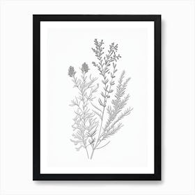 Thyme Herb William Morris Inspired Line Drawing 1 Art Print