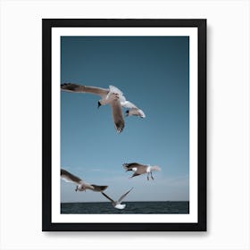 Flying Gulls Art Print