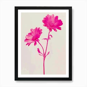 Hot Pink Asters 2 Art Print