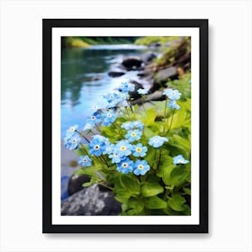 Forget Me Not At The River Bank (1) Art Print