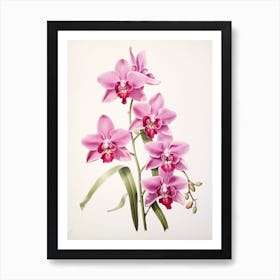 Orchids Flower Vintage Botanical 1 Art Print