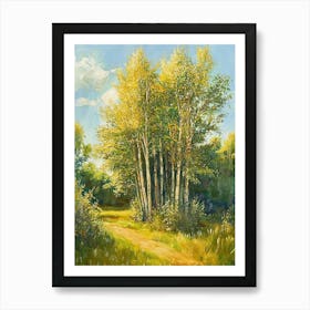 Birch Trees Art Print