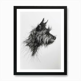 Australian Terrier Line Sketch 1 Art Print