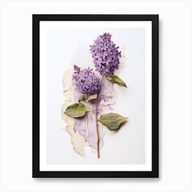 Pressed Wildflower Botanical Art Lilac 2 Art Print