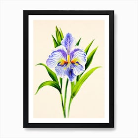 Iris 2 Vintage Flowers Flower Art Print