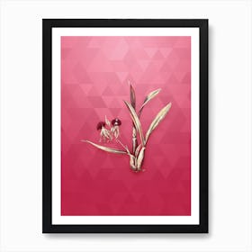 Vintage Clamshell Orchid Botanical in Gold on Viva Magenta n.0895 Art Print