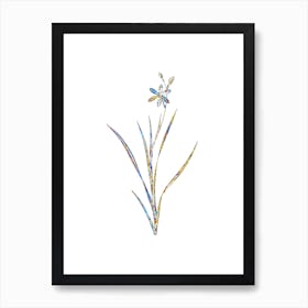 Stained Glass Ixia Anemonae Flora Mosaic Botanical Illustration on White n.0128 Art Print