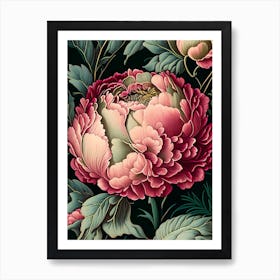 Close Up Of Peonies Single Vintage Botanical Art Print