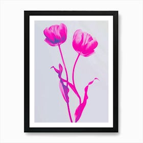 Hot Pink Tulip 3 Art Print