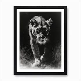 African Lion Charcoal Drawing Lioness On The Prowl 4 Art Print