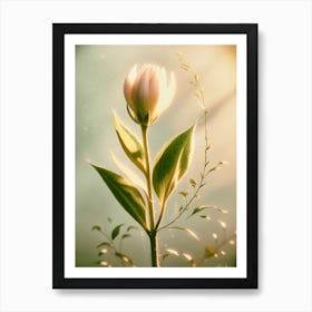 Flower In The Sun Art Print