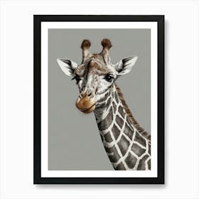 Giraffe Canvas Print 10 Art Print