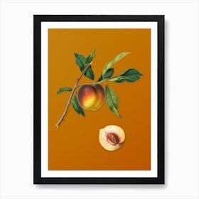Vintage Peach Botanical on Sunset Orange n.0167 Art Print
