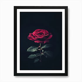 Rose On A Black Background 22 Art Print