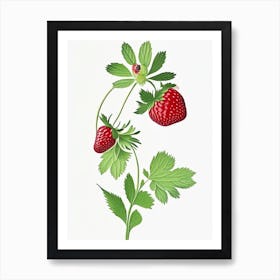 Wild Strawberries, Plant, Marker Art Illustration Art Print