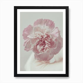 Pink Carnation Flower Art Print