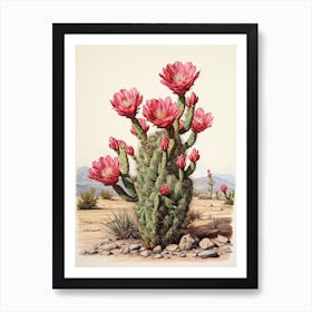 Vintage Cactus Illustration Austrocylindropuntia Subulata 1 Art Print