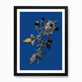 Vintage Provence Rose Black and White Gold Leaf Floral Art on Midnight Blue n.0566 Art Print